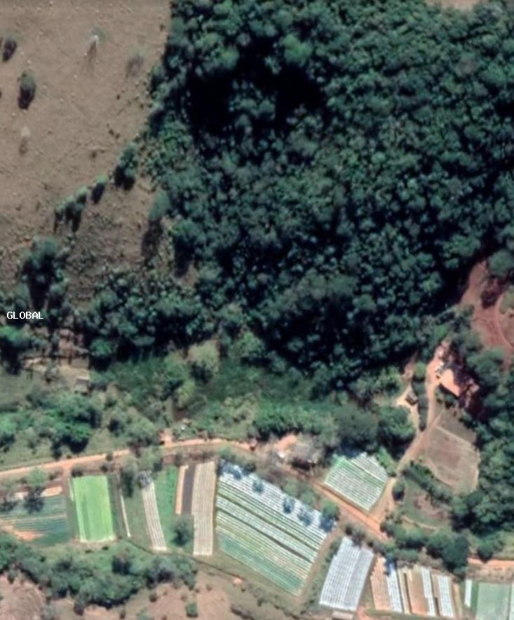 Sem Imagem